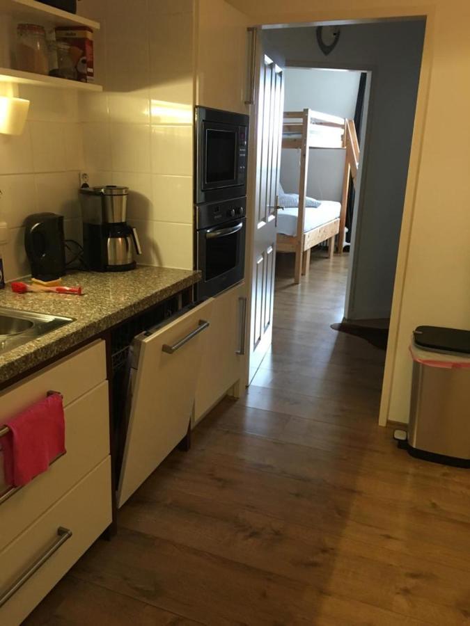 Pension Edelweiss, Apartment Amsterdam 4-6 Pers Gosau Dış mekan fotoğraf