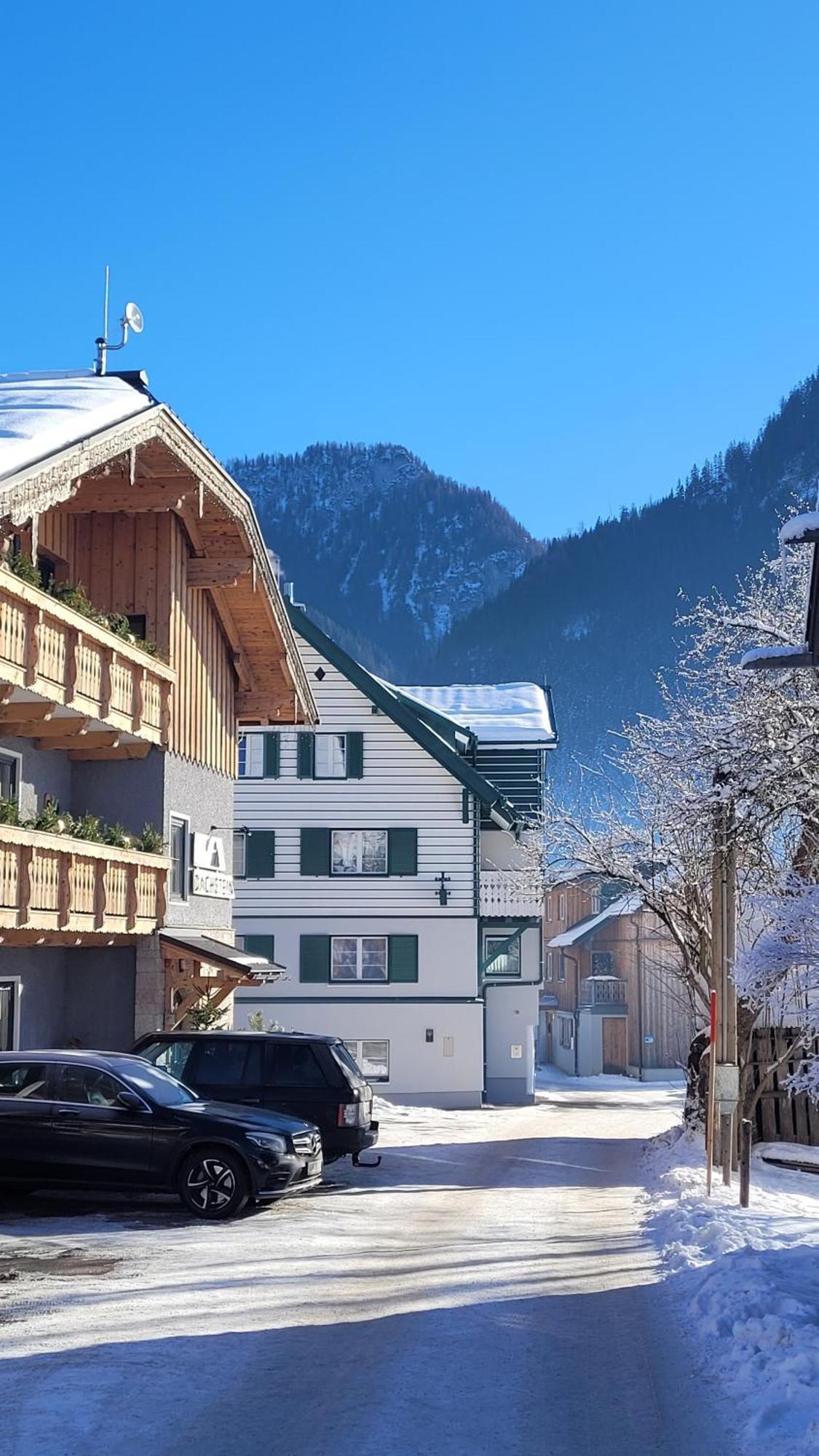 Pension Edelweiss, Apartment Amsterdam 4-6 Pers Gosau Dış mekan fotoğraf